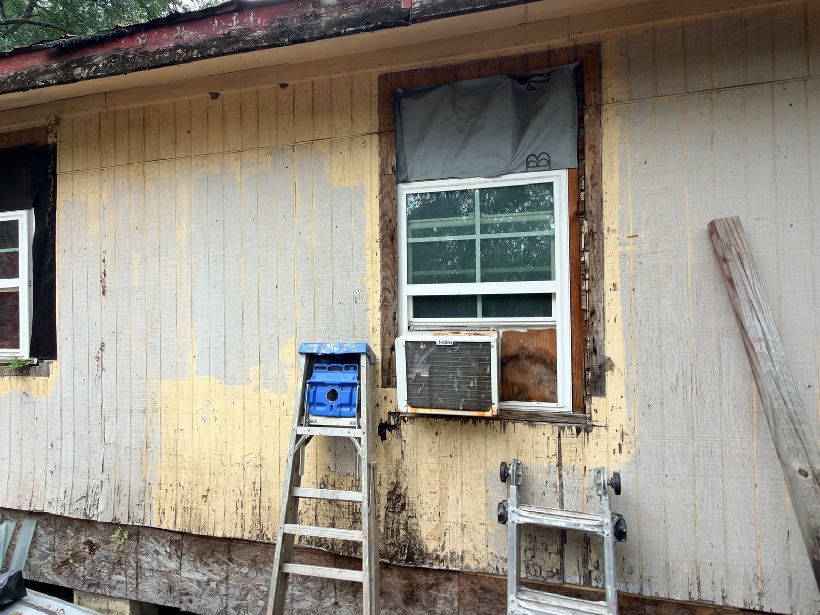 Thumbnail 16