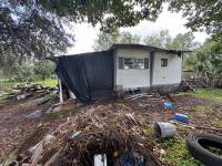 28148 Hibiscus Ave thumbnail 38
