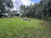 28148 Hibiscus Ave thumbnail 35