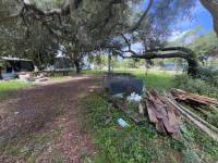 28148 Hibiscus Ave thumbnail 17