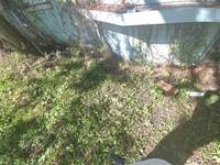 4605 Spring Glen Rd thumbnail 29